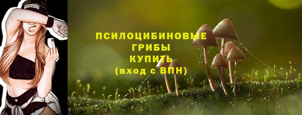 дмт Карпинск