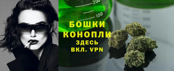 дмт Карпинск