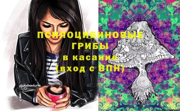 дмт Карпинск